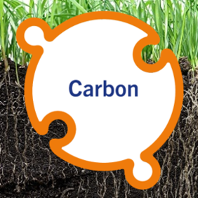 Koolstofvastlegging in de bodem in vier vragen