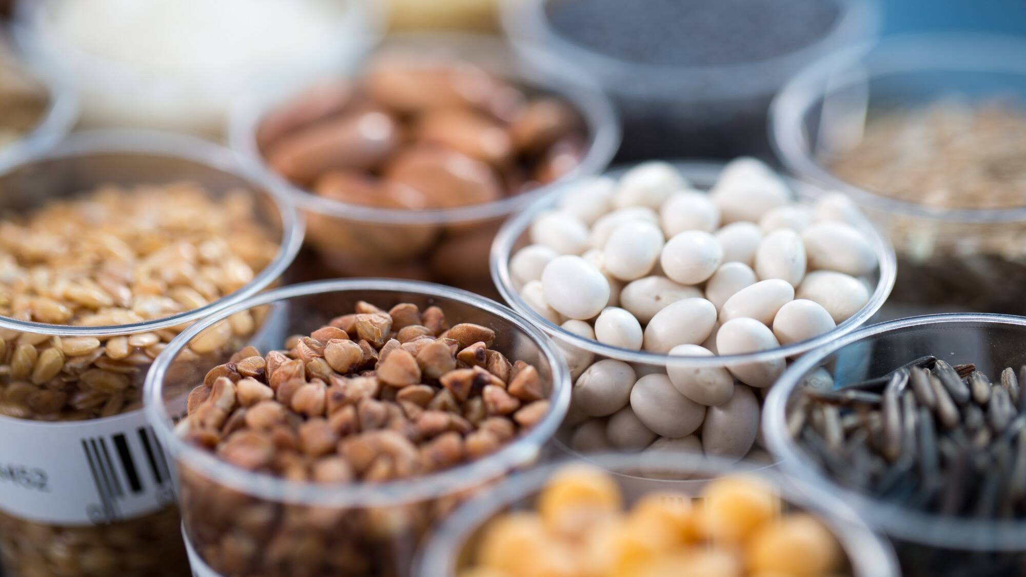 Seeds and cereals in the laboratory of food quality