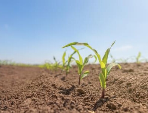 Free Soil Health Workshop on the 30th of October - Join to learn