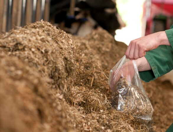 Har du koll på nitrat i ditt grovfoder?