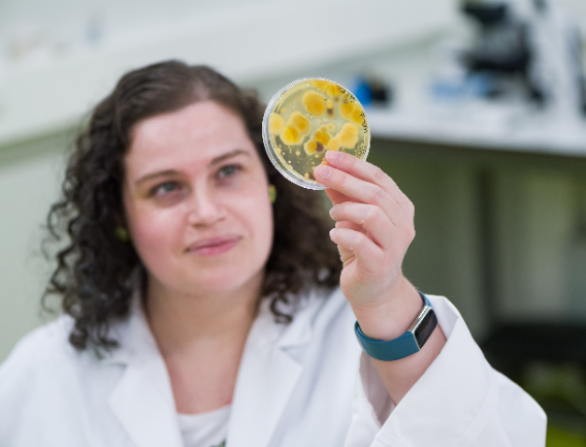 PlantDoctor Laura Kuijpers: Je weet niet wat je nog niet ontdekt hebt