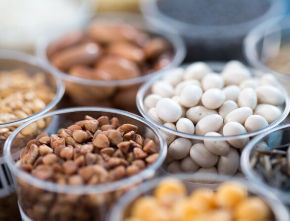 Seed testing service expanded