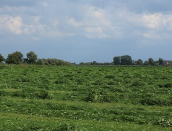 Voorjaarskuilen 2025: veelbelovend begin van het seizoen