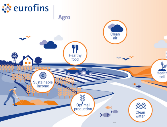 World Soil Day – 5. december: Hvorfor er jordens sundhed så vigtig?