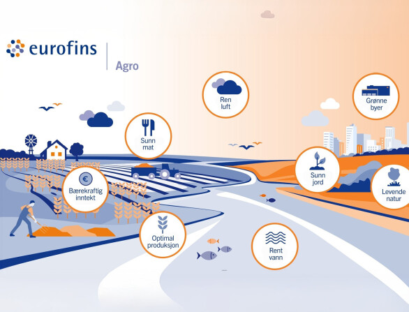 World Soil Day – 5. desember: Hvorfor er jordhelse så viktig?