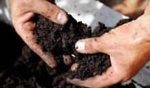 Carbon storage: One measurement is as good as no measurement