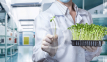 Eurofins Laboratoire Pathologie Végétale rejoint Eurofins Agro France