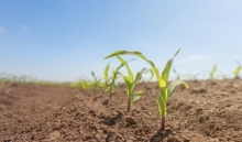 Free Soil Health Workshop on the 30th of October - Join to learn