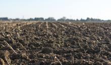Healthy soil: towards a factual analysis.