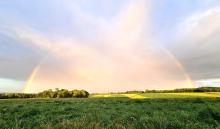 How High-Quality Agri-Food data can create a greener future