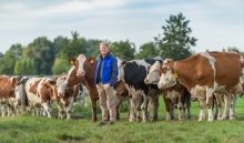 Maintenance planning for your soil 