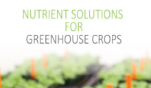 Nieuwe editie Nutrient Solutions ondersteunt telers met slimme voeding in de kas