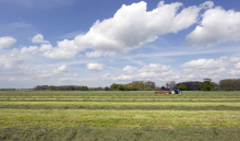 Principaux enseignements de la campagne herbe