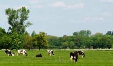 VKA-leden scoren hoger met CO2-opslag dan landelijk gemiddelde