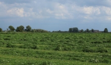 Voorjaarskuilen 2025: veelbelovend begin van het seizoen
