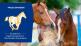 Eurofins at the 11th European Equine Health and Nutrition Congress