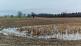 Flooded fields: what is the effect on soil?