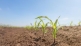 Free Soil Health Workshop on the 30th of October - Join to learn