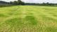Nematodes in grassland and maize often underestimated