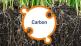 Presence of carbon in Dutch agriculture