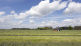 Principaux enseignements de la campagne herbe