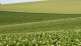 Rapid soil tests for assessing soil health