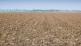 Save on fertilizer with nitrogen analysis