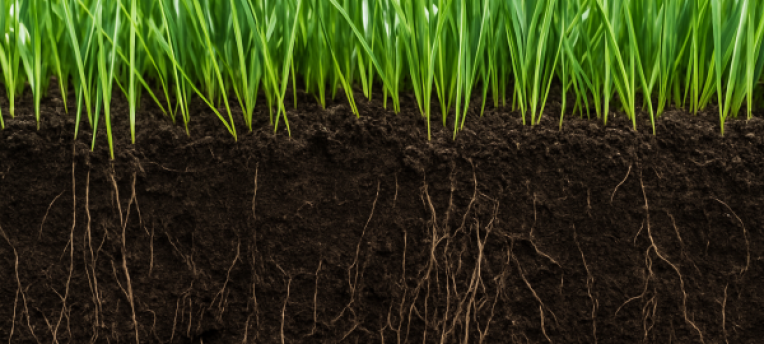 Als de bodem ontwaakt is de BodemGezondheidsIndicator onmisbaar