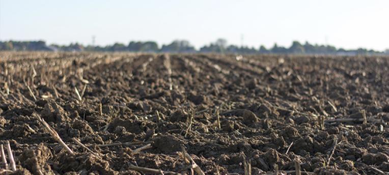 Analysis unlocks soil health