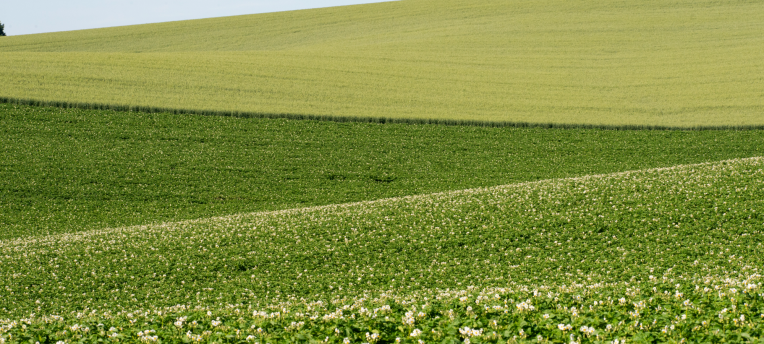 Bodemgezondheid in één oogopslag: sneller inzicht met de BodemGezondheidsIndicator