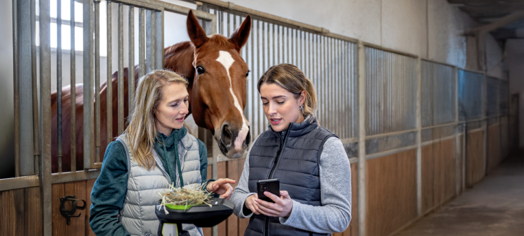 Eurofins Agro Testing en trinamiX lanceren mobiele voederanalyse-oplossing voor paardenvoeding