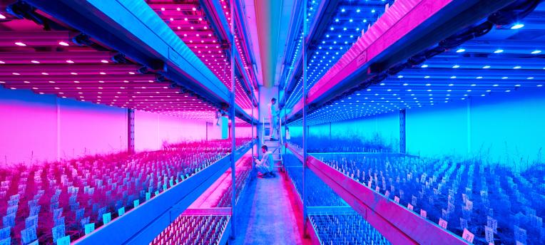 Eurofins Horti launches Vertical Farming Analyses   