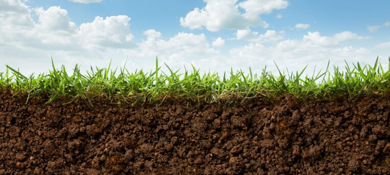 Fertilité des sols: la presse régionale en parle