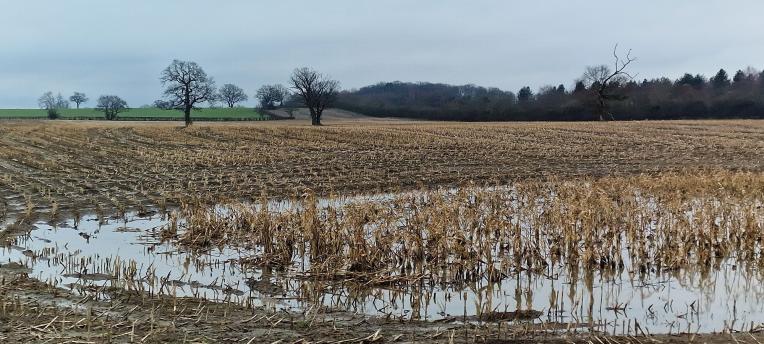 Flooded fields: what is the effect on soil?