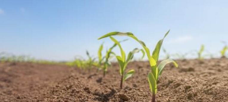 Free Soil Health Workshop on the 30th of October - Join to learn
