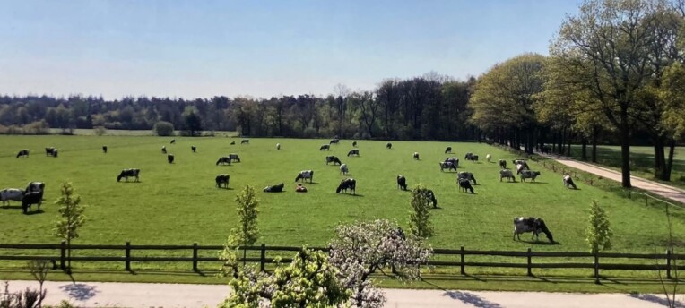 Marjan Heinemans: “Als je stopt met meten, stop je met sturen”
