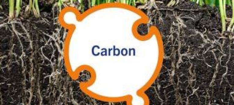 Presence of carbon in Dutch agriculture