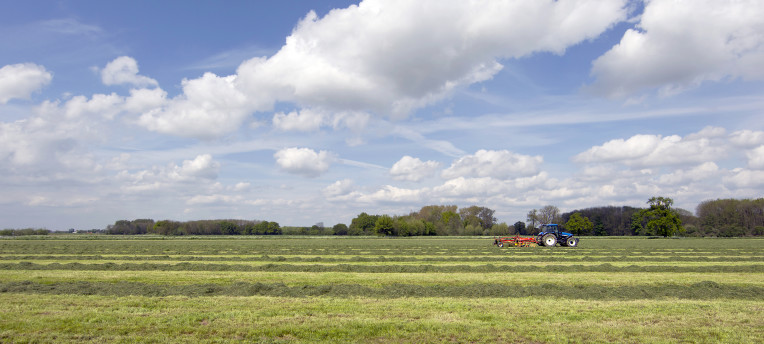 Principaux enseignements de la campagne herbe