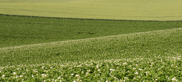Rapid soil tests for assessing soil health