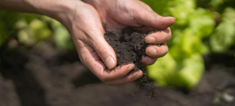 Spoedonderzoek verontreinigingen in compost