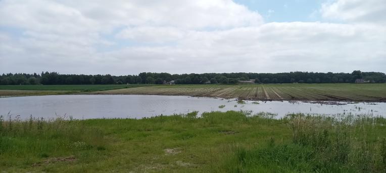 Extreme regen leidt tot hogere stikstofadviezen