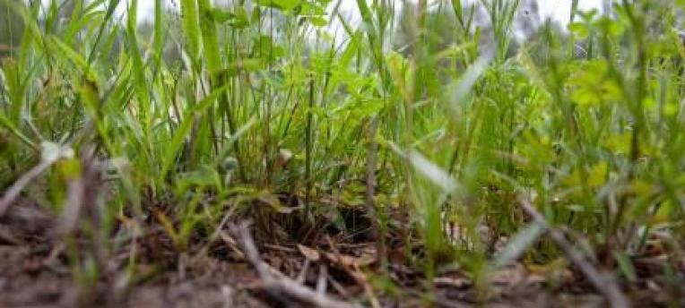 Visie op duurzame landbouw en natuur gebaseerd op data