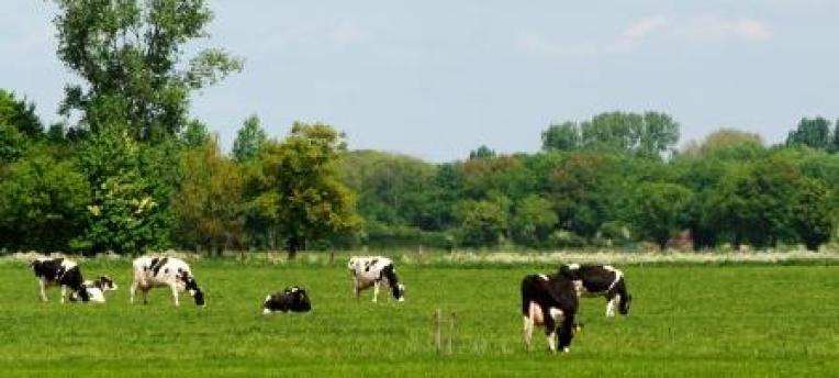 VKA-leden scoren hoger met CO2-opslag dan landelijk gemiddelde