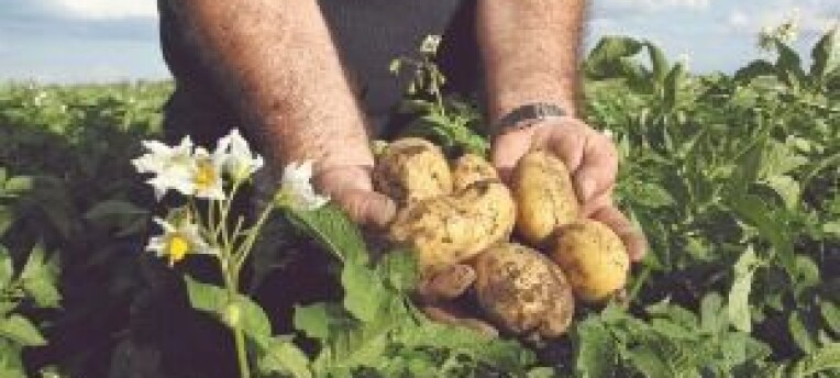 Waar gevoel en data samenkomen: agronoom én akkerbouwer Wiebren Veen werkt dagelijks aan optimaliseren van aardappelteelt