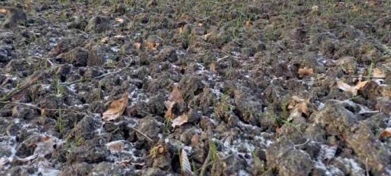 Wat doen regen en kou met nutriënten in de bodem