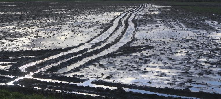 Wat zijn de effecten van regen en kou op de nutriënten in de bodem?