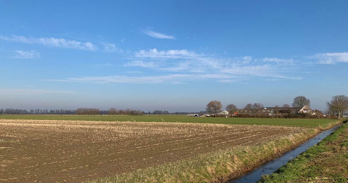 Klant aan het woord: Bemesten op het scherpst van de snede - Eurofins Agro