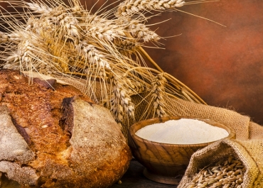 Céréales, Oléagineux et Protéagineux