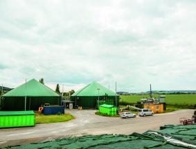Biogas Feedstock 