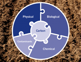 Soil Health Indicator